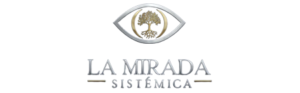 la-mirada-sistemica